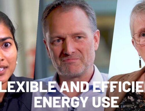FLEXIBLE AND EFFICIENT ENERGY CONSUMPTION IS A GREEN TRANSITION KEY